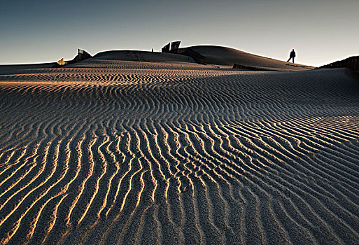 剪影,一个人,站立,沙丘,波纹,沙子,安达卢西亚,西班牙