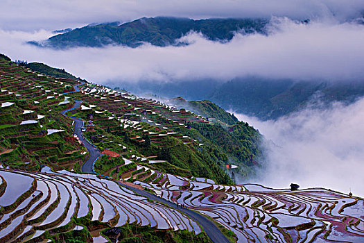 加榜梯田