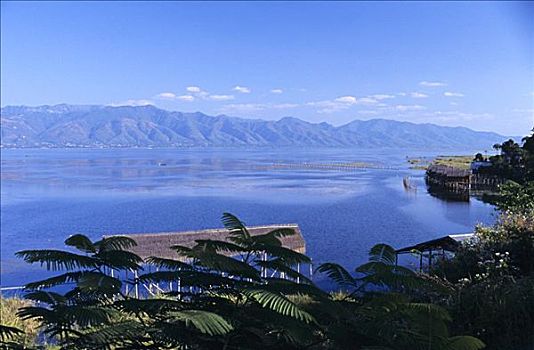 缅甸,茵莱湖,风景,框架,松树,蓝湖,水,山峦,背景