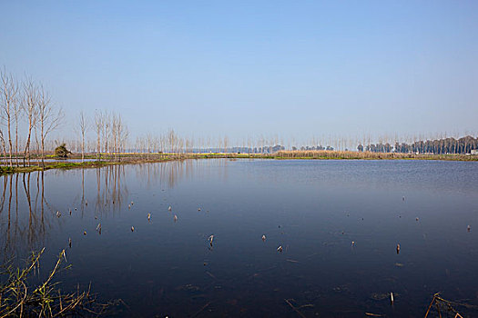 湿地,自然保护区