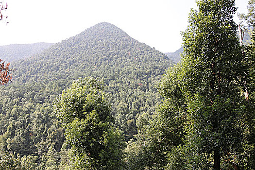 金华市双龙洞风景区