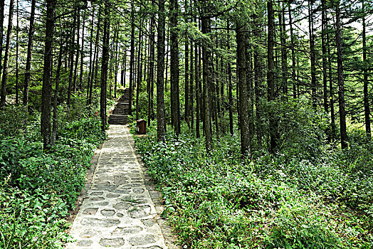 河北省石家庄市灵寿县五岳寨风景区