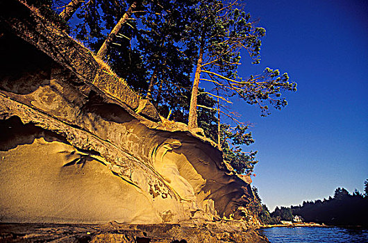 砂岩,日落,温哥华岛,不列颠哥伦比亚省,加拿大
