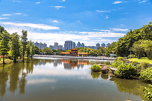 廣東省深圳市荔枝公園風光
