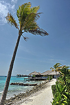 马尔代夫梦幻岛热带风光