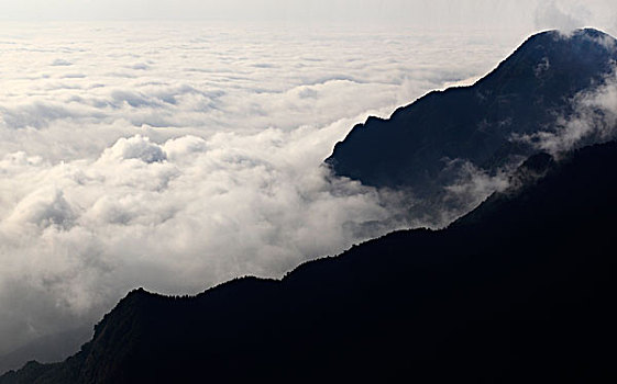 山,云海,雾