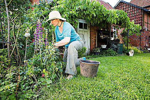 女人,工作,花园