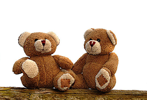 两个,泰迪熊,木制长椅