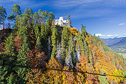 风景,老,城堡,围绕,彩色,木头,秋天,奥地利,欧洲