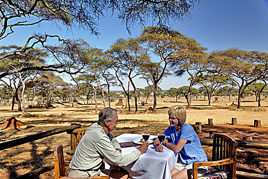 情侣,享受,户外,平台,午餐,塔兰吉雷国家公园,坦桑尼亚