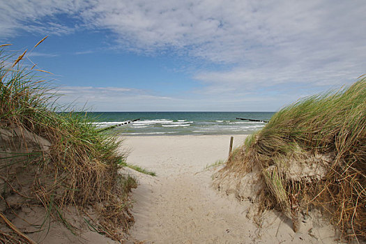 海滩,半岛,波罗的海,梅克伦堡州,东德