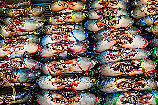市场,展示,蟹肉,曼谷,泰国