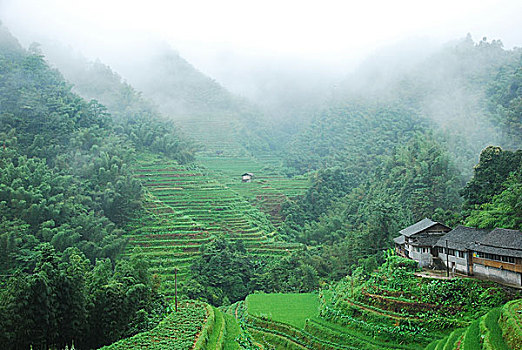 大山里的田园春色