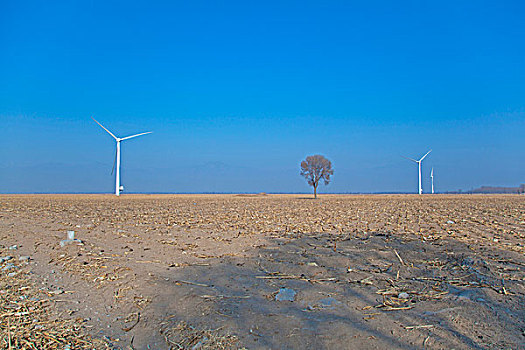 冬天农田上的风力发电车
