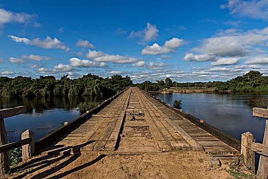 木桥,河,里奥内格罗,潘塔纳尔,南马托格罗索州,巴西,南美