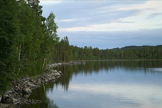 湖,树林,瑞典