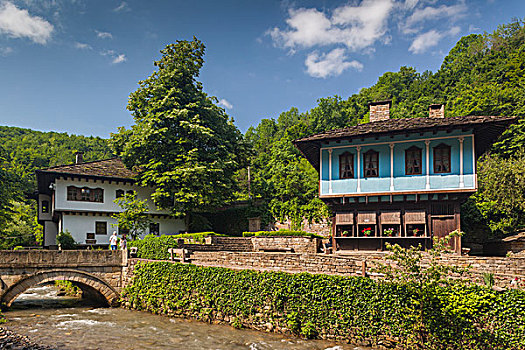 保加利亚,中心,山,乡村,传统,房子