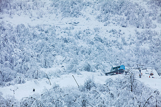 西岭雪山大雪的美丽风景