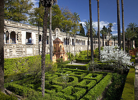 花园,宫殿,城堡,塞维利亚,安达卢西亚,西班牙