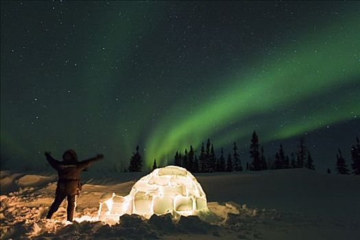 人,站立,靠近,圆顶小屋,看,北极光,瓦普斯克国家公园,曼尼托巴,加拿大