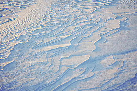 雪地