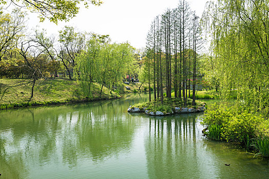 阳春三月扬州瘦西湖绿树碧水自然风光