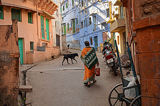 城市街道,拉贾斯坦邦,印度,后视图,女人,狗,走
