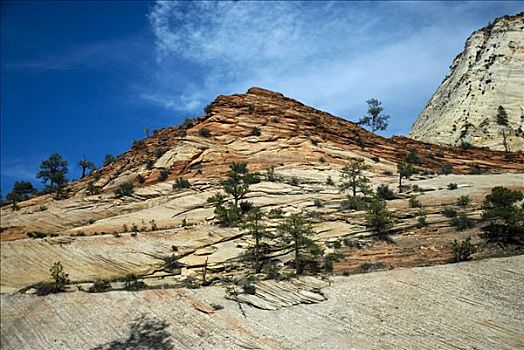 砂岩,国王峡谷,内华达山脉,加利福尼亚,美国
