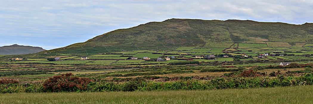 凯瑞郡,丁格尔半岛,爱尔兰,特色,风景
