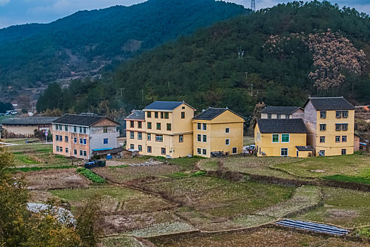 福建省,龙岩市,永定区,南村,农家,住宅,建筑群