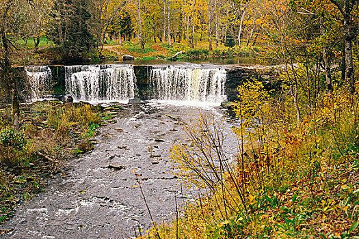 瀑布,秋天,俯视,风景,爱沙尼亚