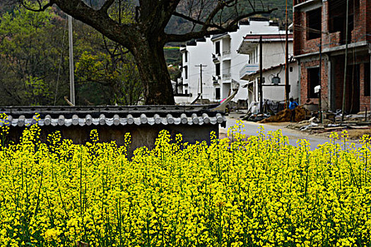 小桥流水山乡