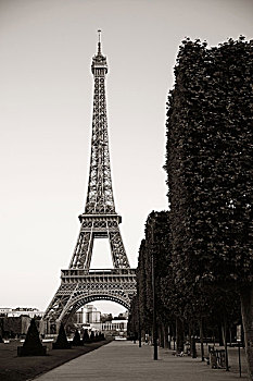 埃菲尔铁塔,著名,城市,地标,巴黎