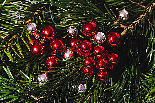 特写,圣诞装饰,悬挂,树上