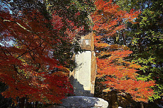 秋天,京都