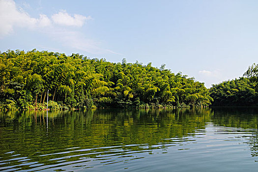 竹林竹海竹子和干净的湖,漂亮的风景