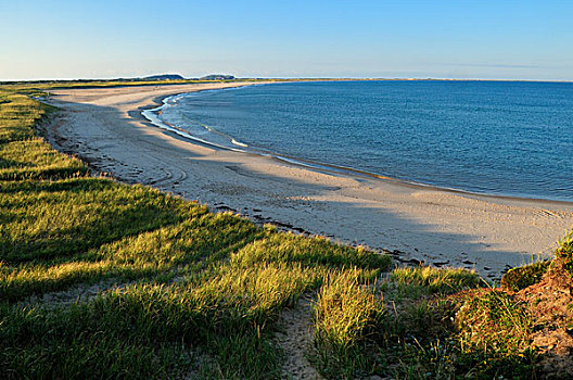 老,海滩,大,马格达伦群岛,魁北克,加拿大,北美