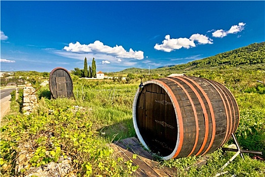 葡萄酒桶,克罗地亚,平原