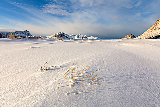 海滩,遮盖,雪,罗浮敦群岛,挪威