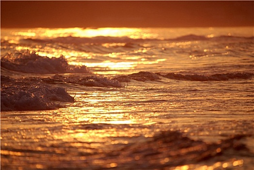 日落,海洋