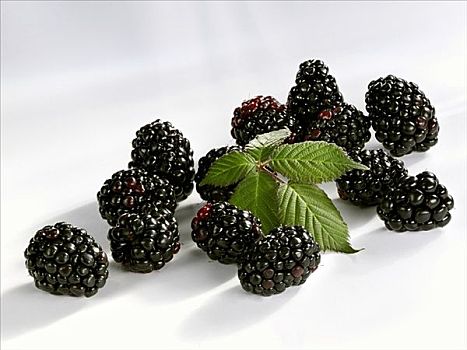 黑莓,叶子