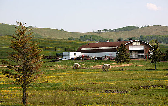 加拿大落基山赛马场