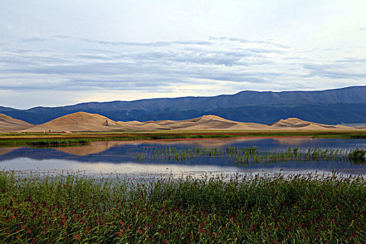 鸣沙山湿地风光