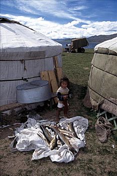 露营,帐蓬,游牧,孩子,钓鱼,草原,蒙古,亚洲
