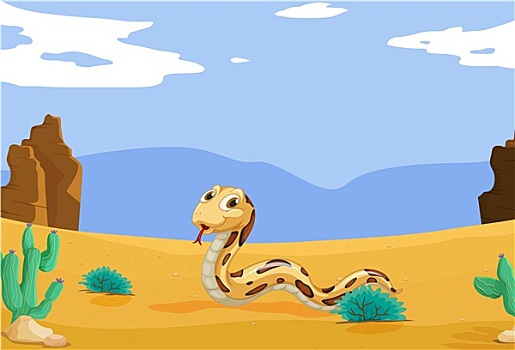 蛇,沙漠