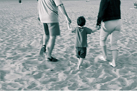 父母,走,儿子,海滩