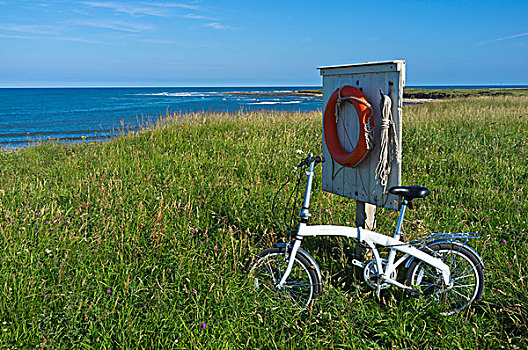 自行车,木质,建筑,草,拿着,救生圈,海岸,诺森伯兰郡,英格兰