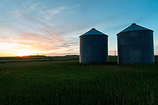 草原,地点,曼尼托巴,加拿大