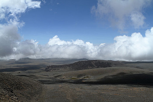 高原,大捆,山,埃塞俄比亚