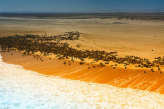 骷髅海岸,纳米比亚,抽象,风景,岬角,毛皮,靠近,海浪,大西洋,海洋